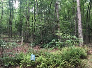LT 58 Riverwalk On Toccoa, Mineral Bluff, GA 30559
