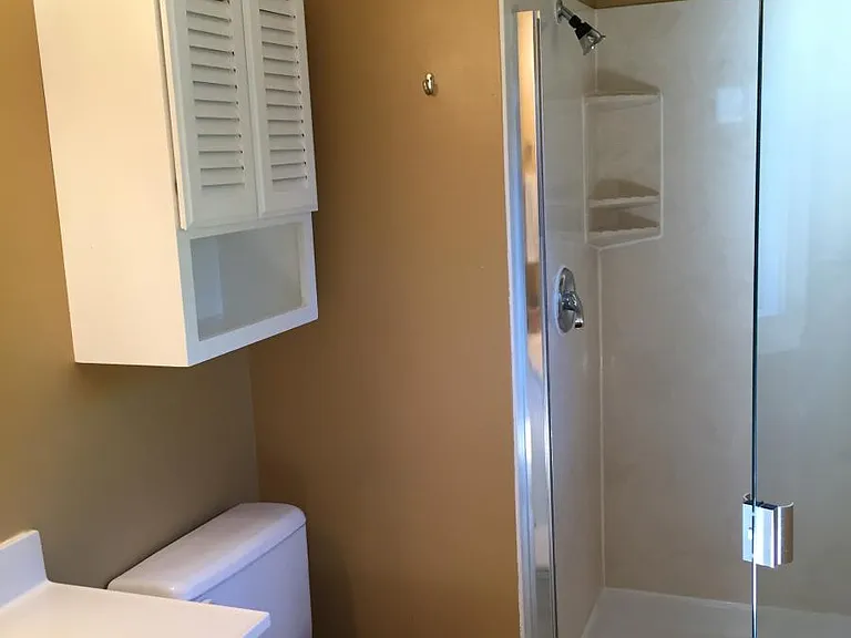 master bath with shower