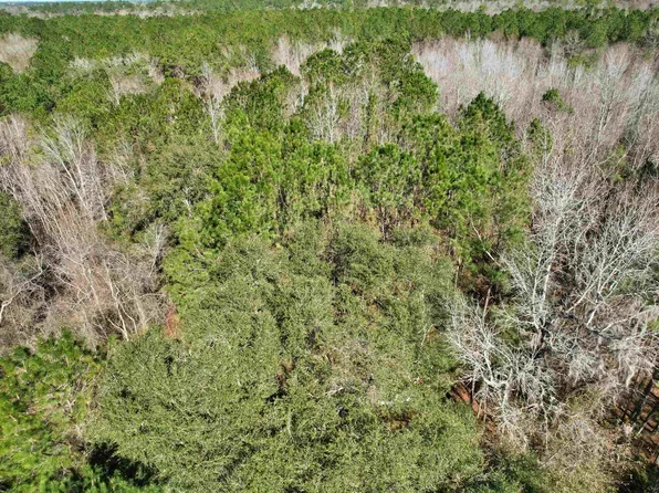 2894 SW Overstreet Ave, Greenville, FL 32331