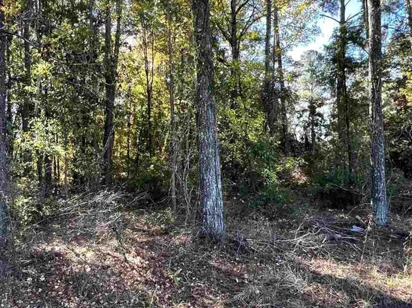 0 W McIver Rd, Darlington, SC 29532