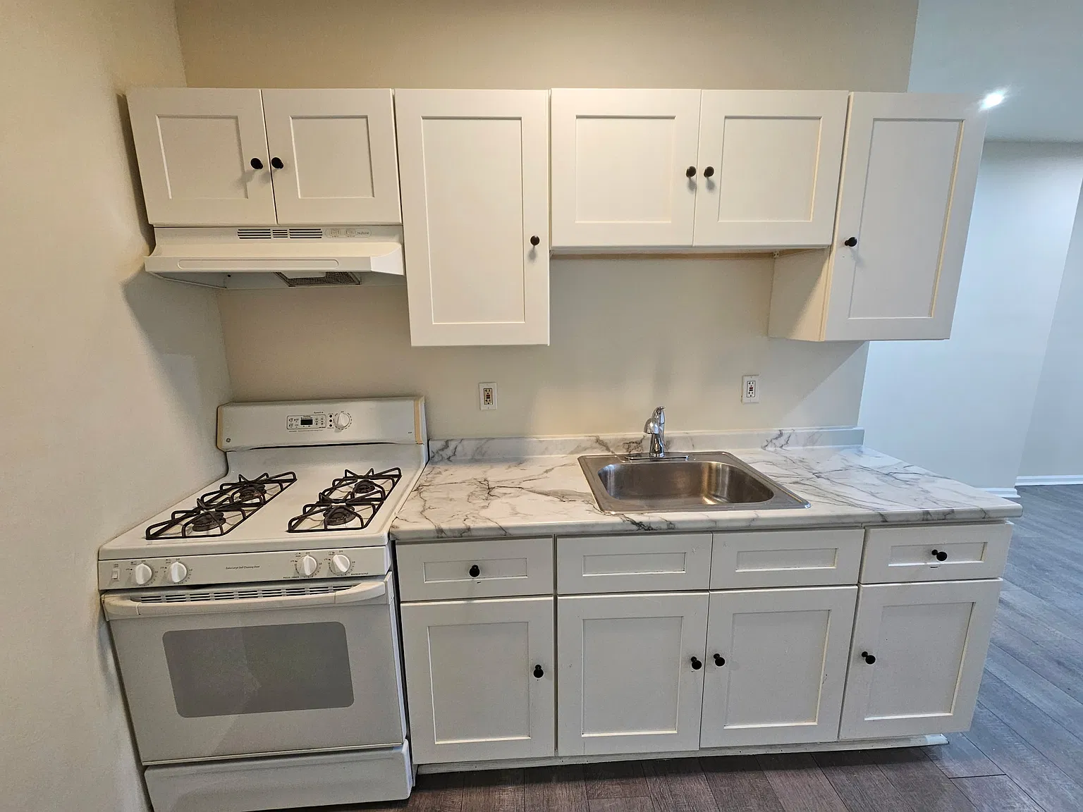 1 bed, 1200 sqft, $1,000 — Photo 3