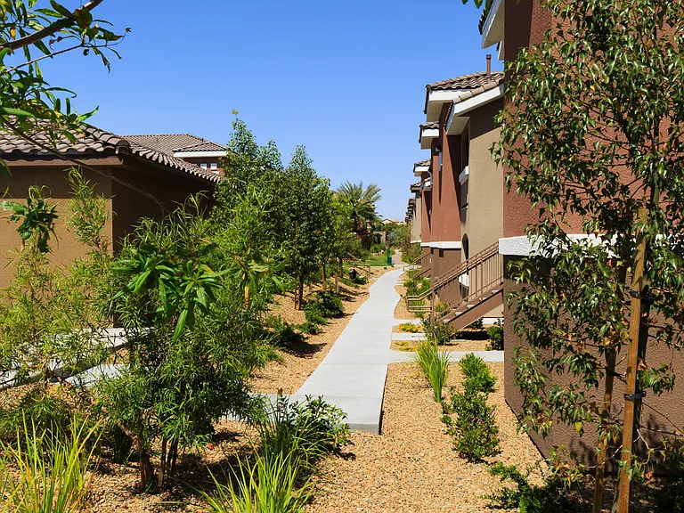 Grounds