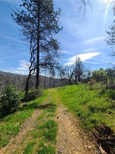 519 Little Ridge Rd, Berry Creek, CA, 95916