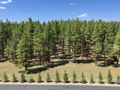 9 E FOXBORO Road #14, Munds Park, AZ, 86017