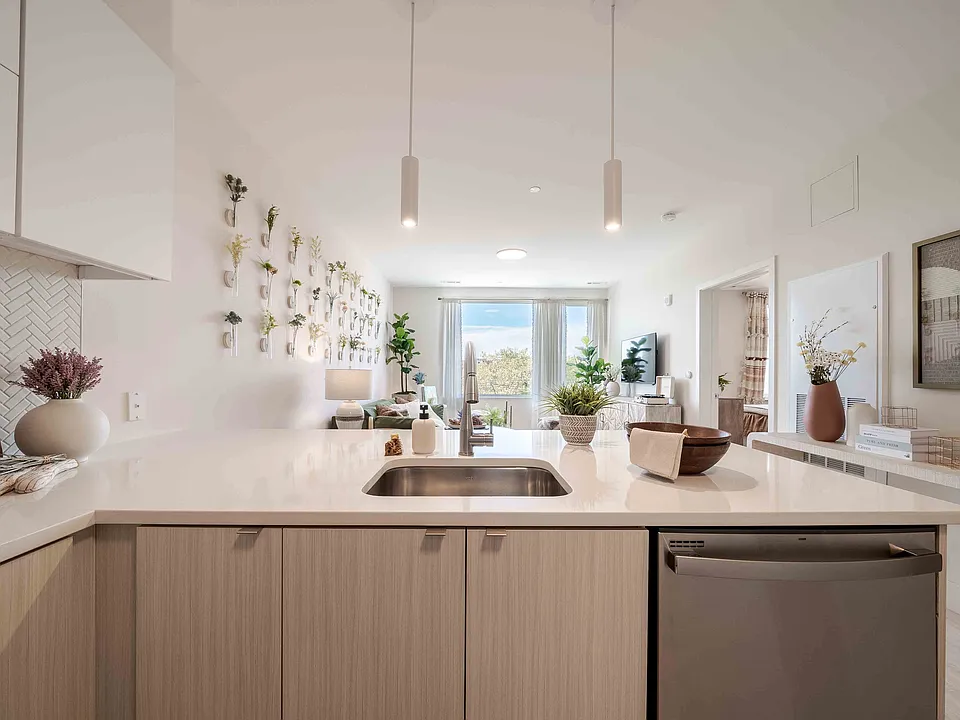 Apartment Kitchen and Living Room