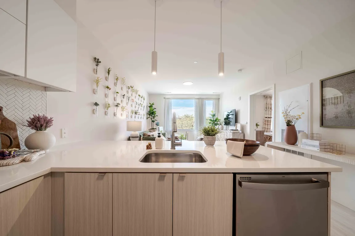 Apartment Kitchen and Living Room