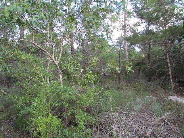 1st image of 5460 Rio Bravo Ct
