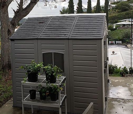 Main shed + pet shed (yard)