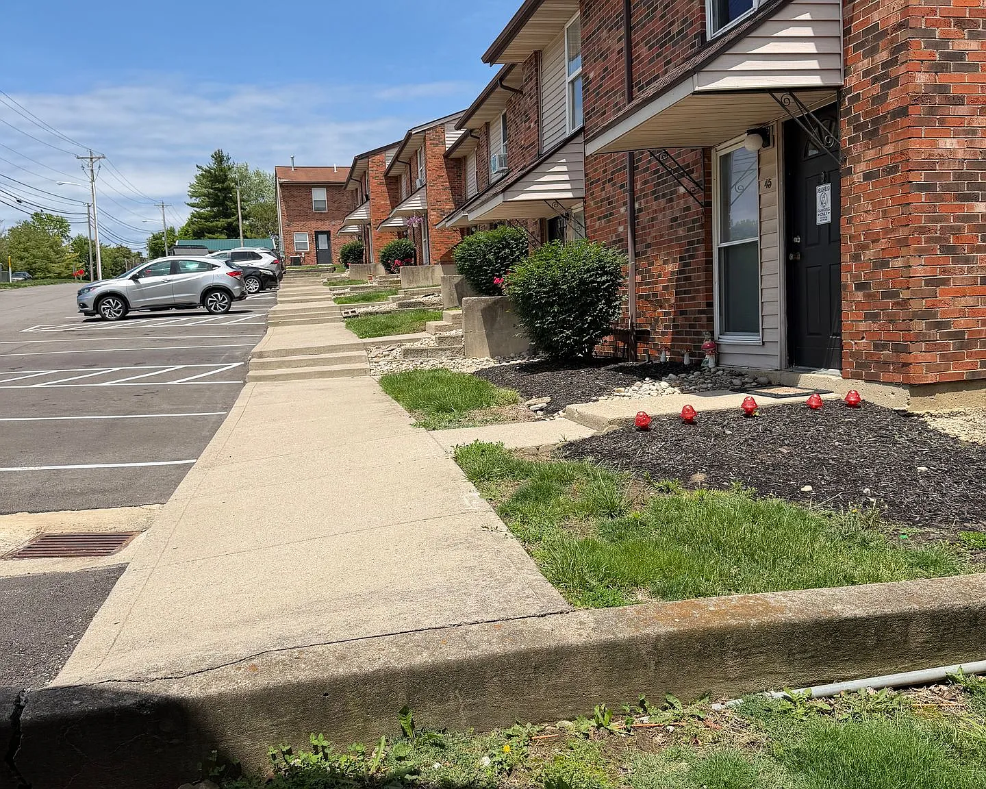 Steeplechase of Lebanon - STL — Photo 2