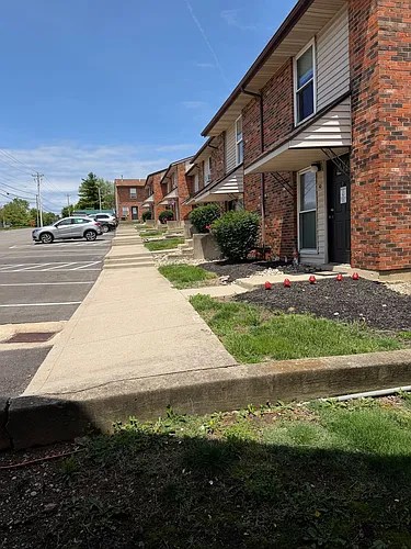 Steeplechase of Lebanon - STL Photo 1