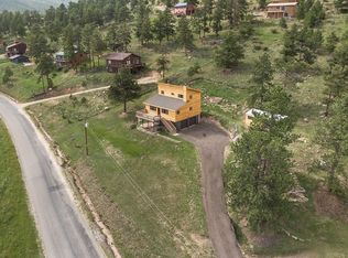 503 N Pine Dr, Bailey, CO 80421