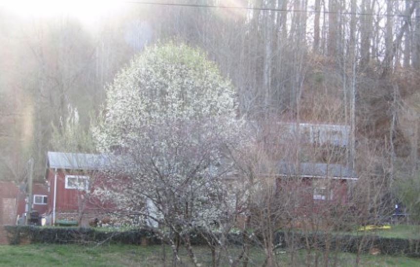 2nd image of 1354 Galyon Rd
