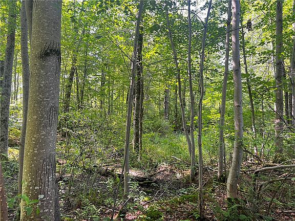 2nd image of 0 Hunter Lake Road