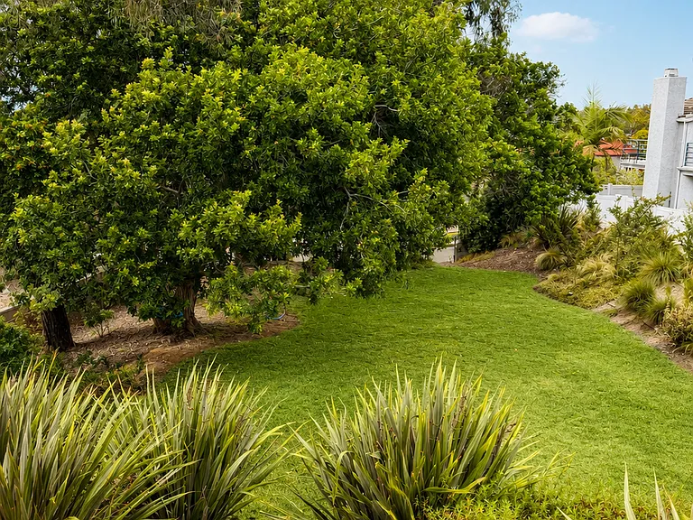Community Green Belt and view from primary bedroom deck