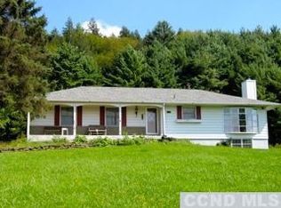 484 N Settlement Rd, Windham, NY 12496