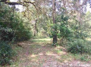 484 SW Lightwood Pl, Fort White, FL 32038