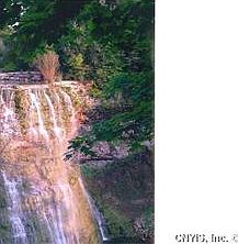 1st image of 7805 Clearwater Cir
