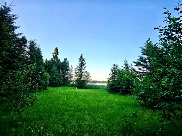 Tbd 190th St, Bagley, MN 56621