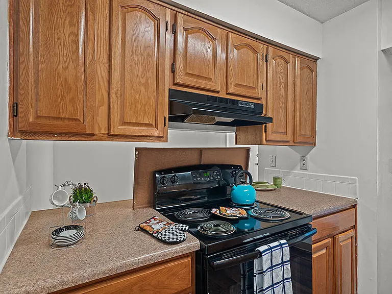 Kitchen with Wood Cabinets