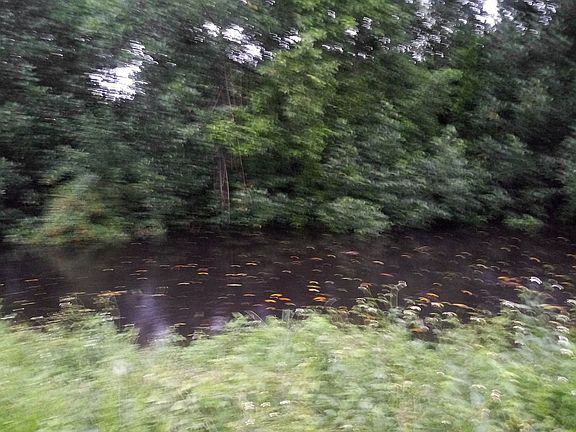 2nd image of 1113 River Rd
