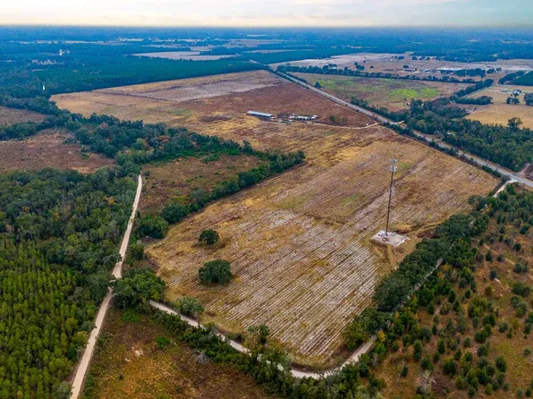 8619 E Us Highway 27, Mayo, FL 32066