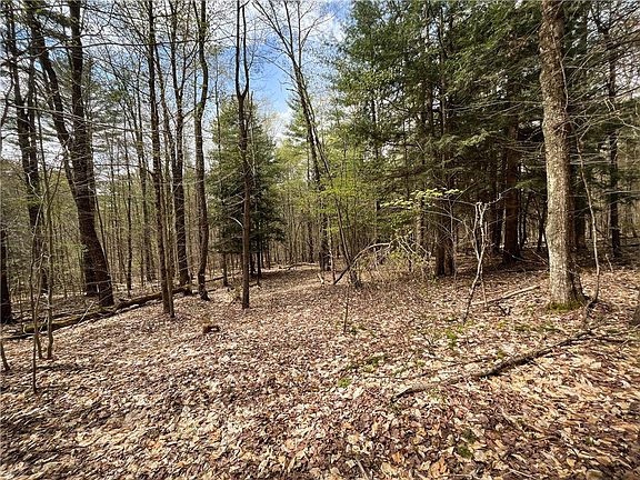 5th image of W Creek Rd Lot 2