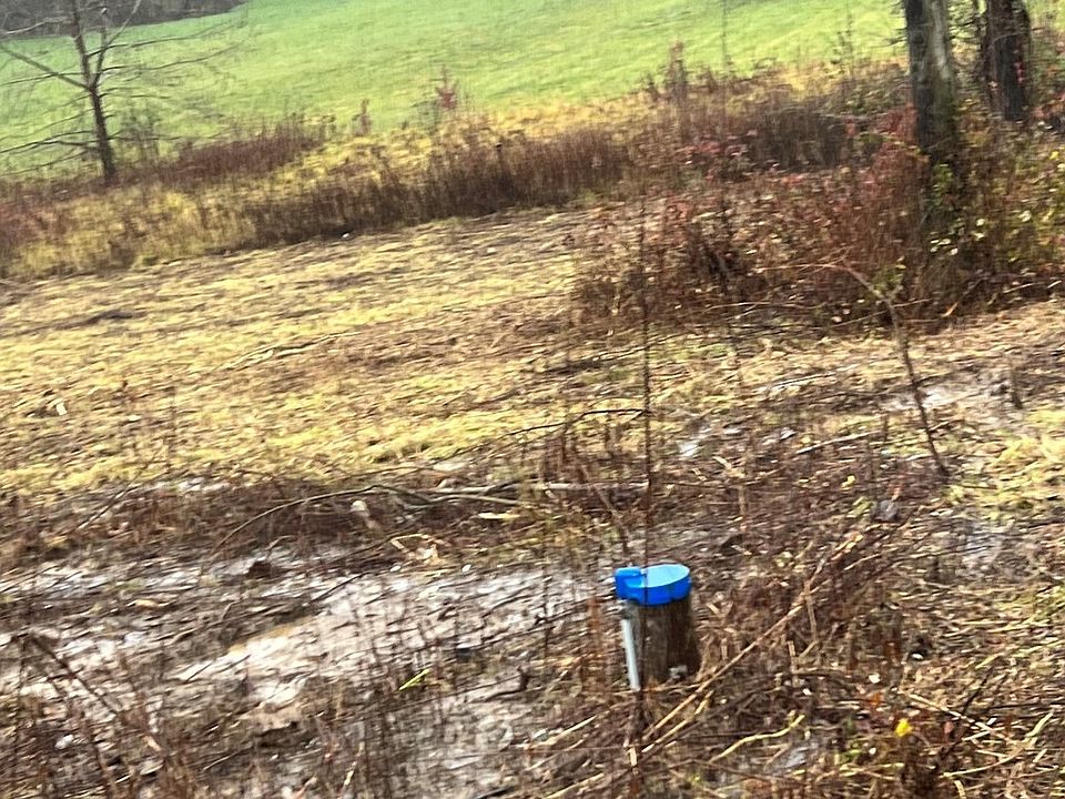 2nd image of 3 Sims Cemetery Rd #3