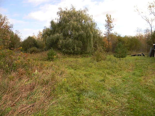2nd image of 8932 County Road 430