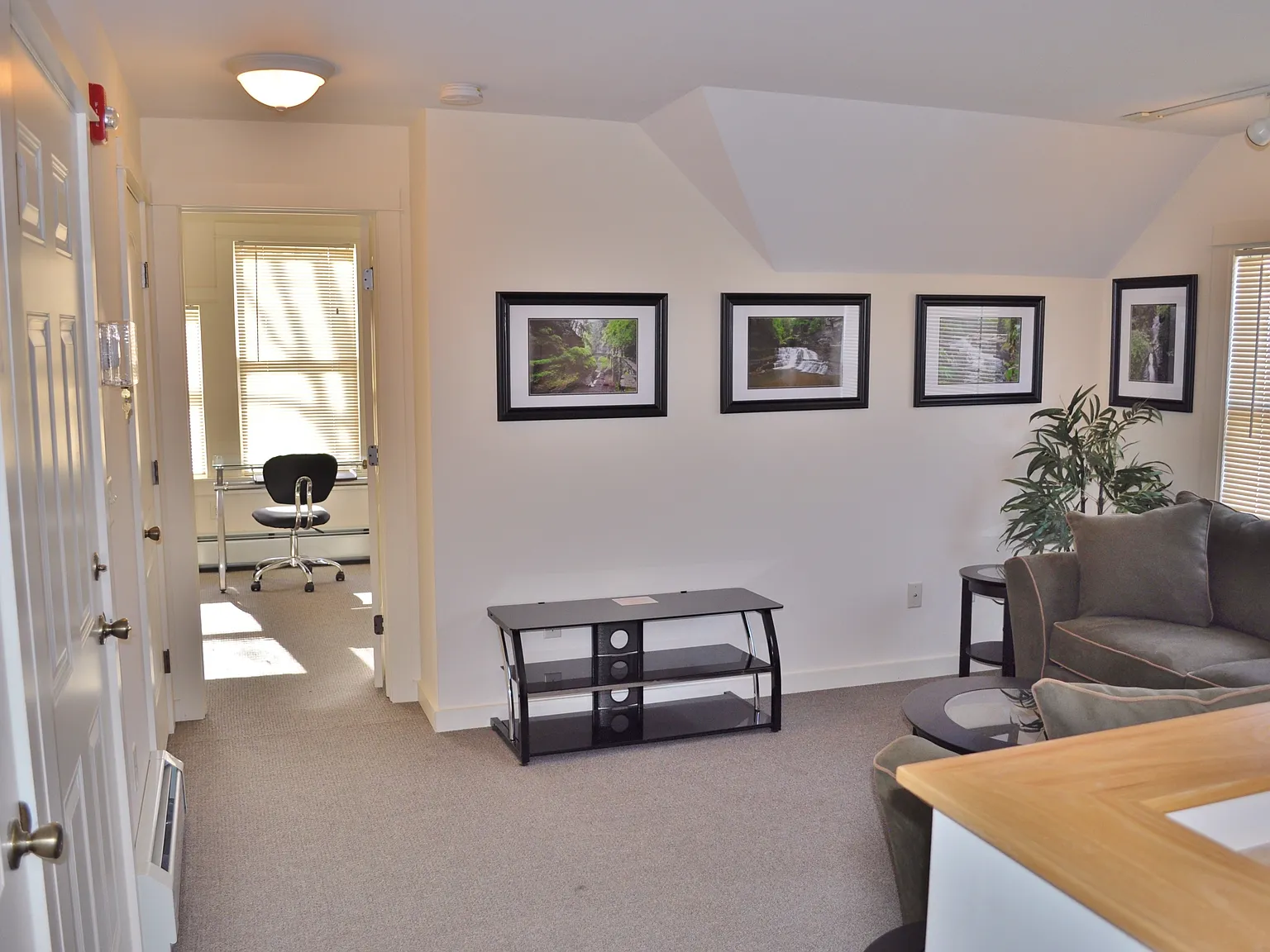203 Williams Street - 6 — Photo 4