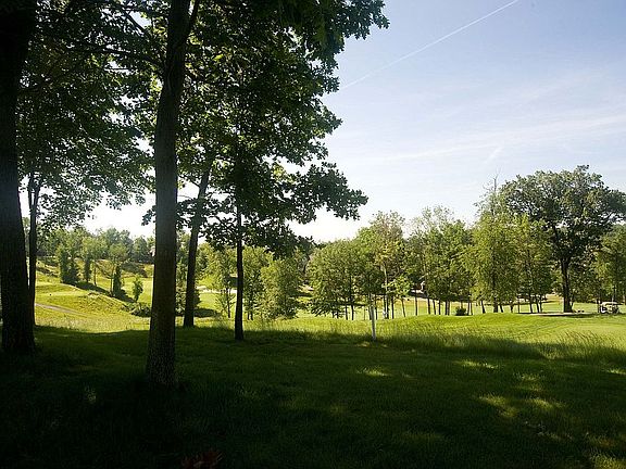 enjoy all this lawn....with no mowing!