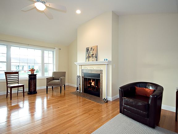 Wood Burning Fireplace