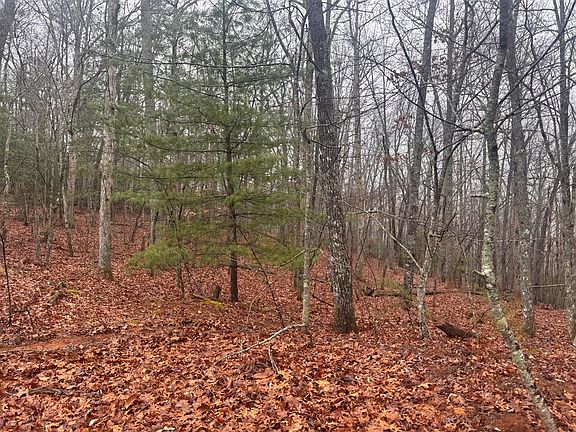 3rd image of 97ACRE Winchester Creek Rd