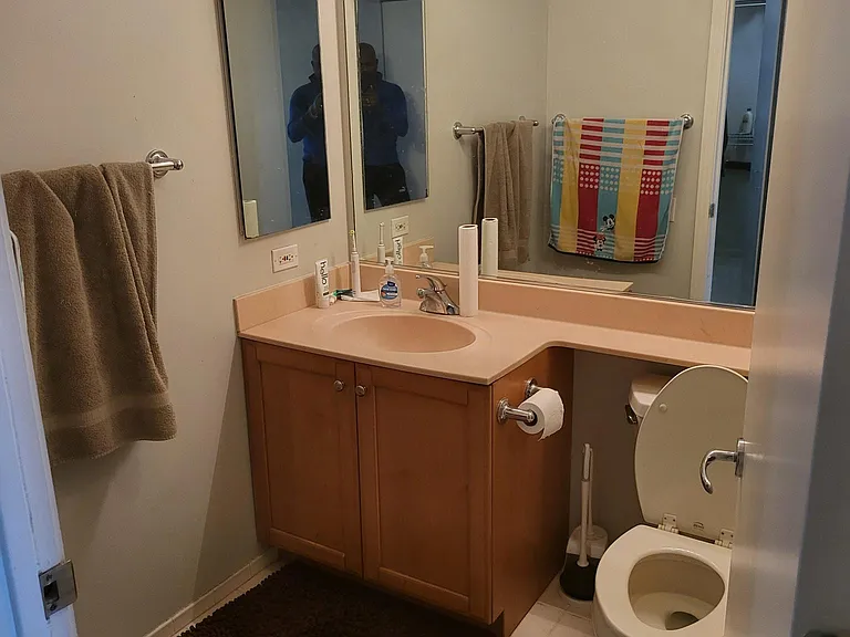 400 N Lasalle St #2803 — Photo 10