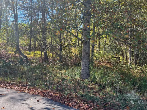 Tr1&2 Holland Dr, Young Harris, GA 30582