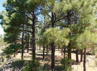 2796 Skyhawk Dr, Overgaard, AZ 85933