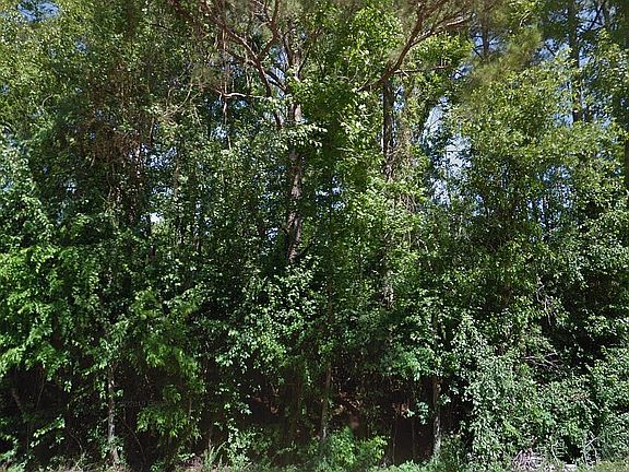 3rd image of 0 W Fm 1662
