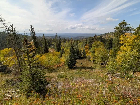 Ms 2066 Moose Trl, Lead, SD 57754