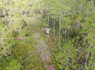 Vacant Sw Hike Lake Rd, Madison, FL 32340