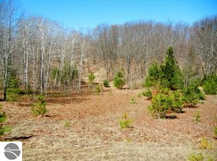 Traverse Rd, Thompsonville, MI 49683