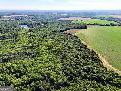 2415 Us Highway 82 E, Shellman, GA, 39886