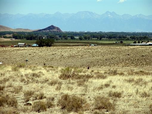 2nd image of Tbd Pronghorn Hl