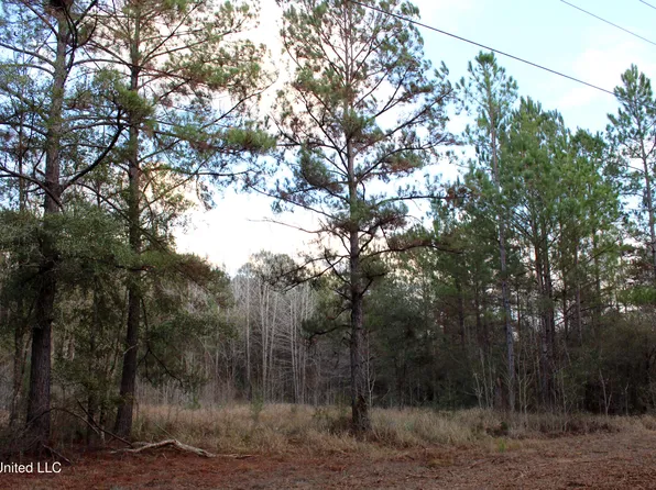 Salem Campground Rd, Lucedale, MS 39452