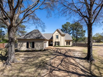 10296 Peyton Path Cv, Collierville, TN, 38017