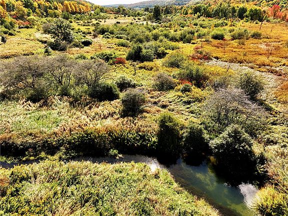 5th image of Halsey Valley Rd