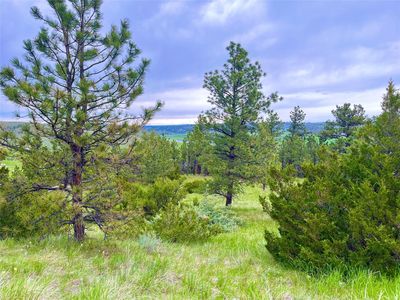 69 Colter Trl, Columbus, MT, 59019