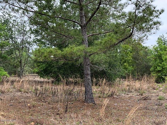 3rd image of 765 W Withlacoochee Trl