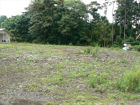 2nd image of LOT 812 #B