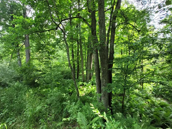 2702 Wieman Rd #1207, Beaverton, MI 48612