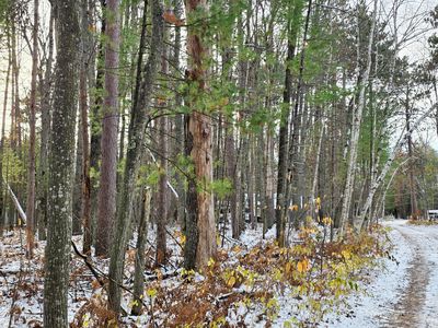 LOT 18 Kingsley Ln, Grayling, MI, 49738