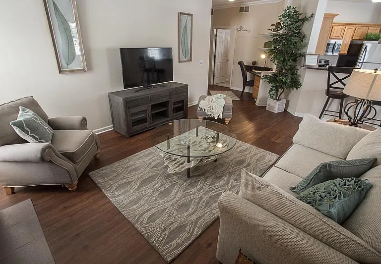 Comfortable Modern Living
